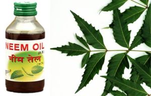 Neem Oil