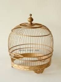 birds cage