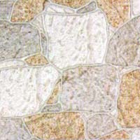 Wall Tiles