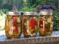 Pickled Vegetable