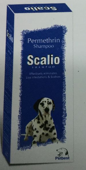 Scalio Shampoo