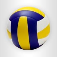 Synthetic Volleyballs