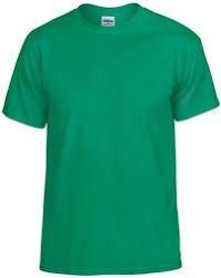 blank t shirt