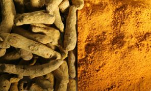 Turmeric Extract Powder