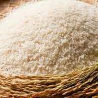 Sugandha Sella White Rice