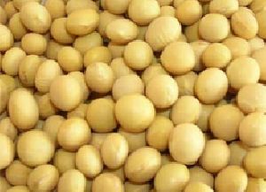 Soyabean