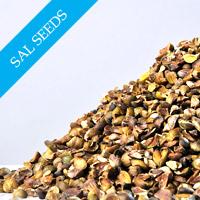 Sal Seeds