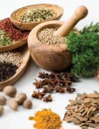 Ayurvedic Herbal Medicines