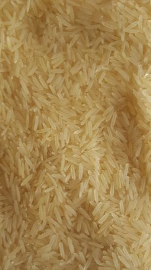 Pusa Basmati Parboiled Golden Rice (Sella)