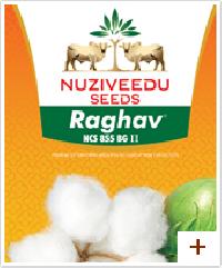 Bt Cotton Seed