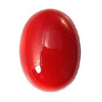 Red Coral Gemstone