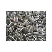 Sunflower Seeds