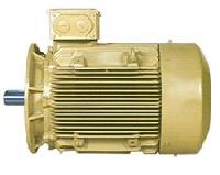 Hoist Duty Squirrel Cage Induction Motor