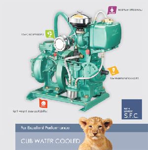 Cub Water Cooled Diesel Engine