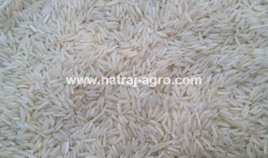 1509 Pusa Basmati Steam Rice