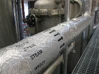 Steam Pipe