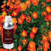 Calendula Oil