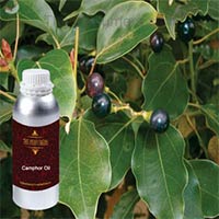 Camphor Oil