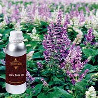 Clary Sage Oil