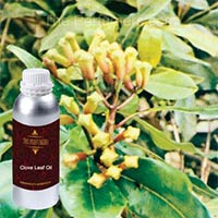 Clove Leaf Oil