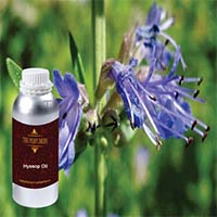 Hyssop Oil