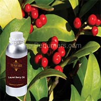 Laurel Berry Oil