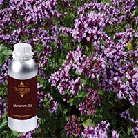 Marjoram Oil