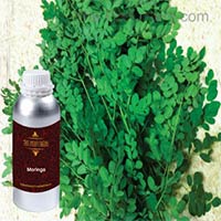 Moringa oil