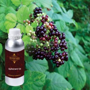 Spikenard Oil