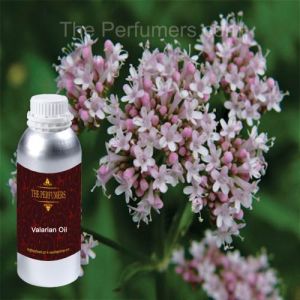 Valerian Oil