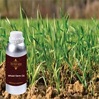 Wheat Germ Oil