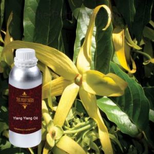 Ylang Ylang Oil