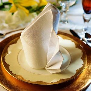 Cotton Table Napkins