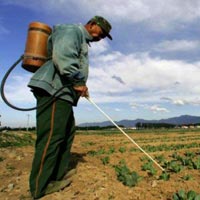 Herbal Pesticide