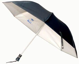 2 Fold Umbrella