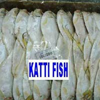 Frozen Katti Fish