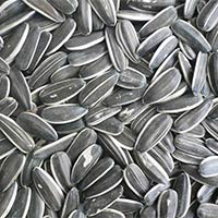 Sunflower Seeds