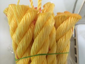 Polypropylene Ropes