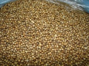 Coriander Seeds