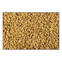 Fenugreek Seeds