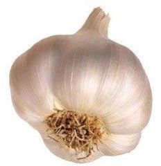 Garlic Bulbs