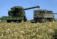 Maize Combine Harvester