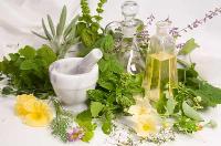 herbal medicinal plant