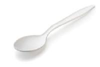 Plastic Spoon