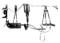 Horse Harness