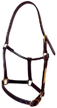 Leather Halters-02