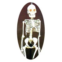 Human Skeleton Model