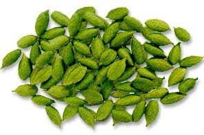 Cardamom Oil