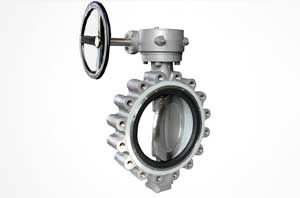 Butterfly Valve