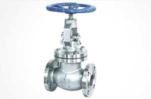 Globe Valves